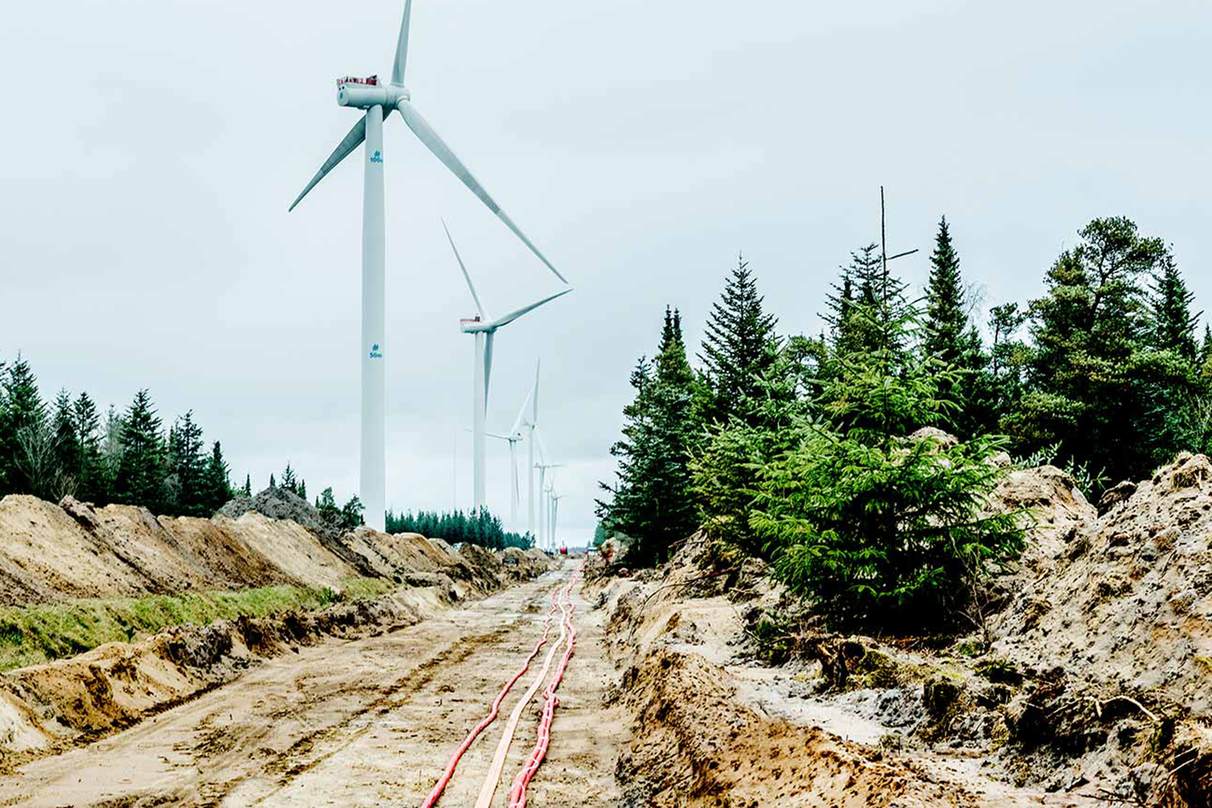 ERP customer case in utility. Thy-Mors Energi and Cepheo