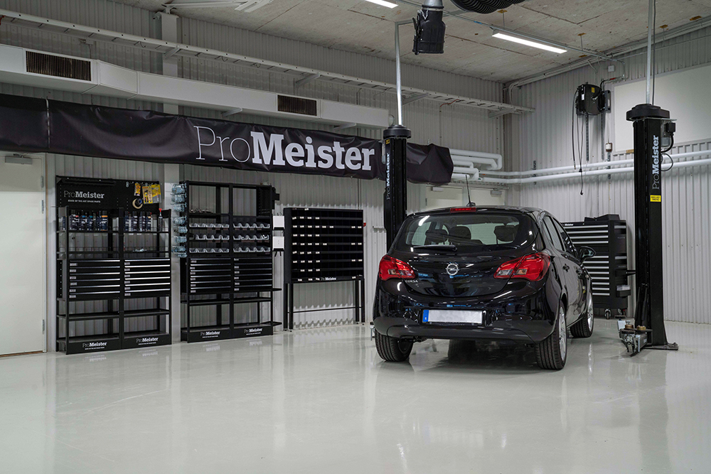 ERP customer case in Financial & Professional Services. ProMeister and Cepheo