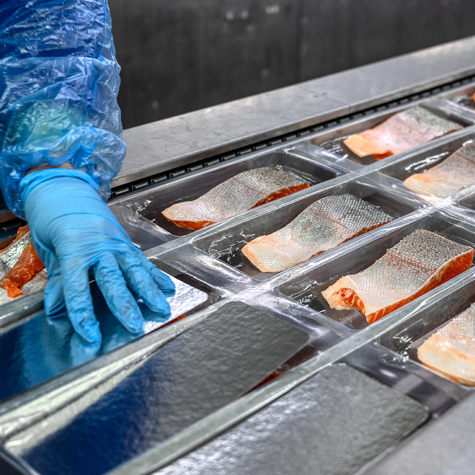 Traceability from smolt to global supply - Inspiration from Cepheo