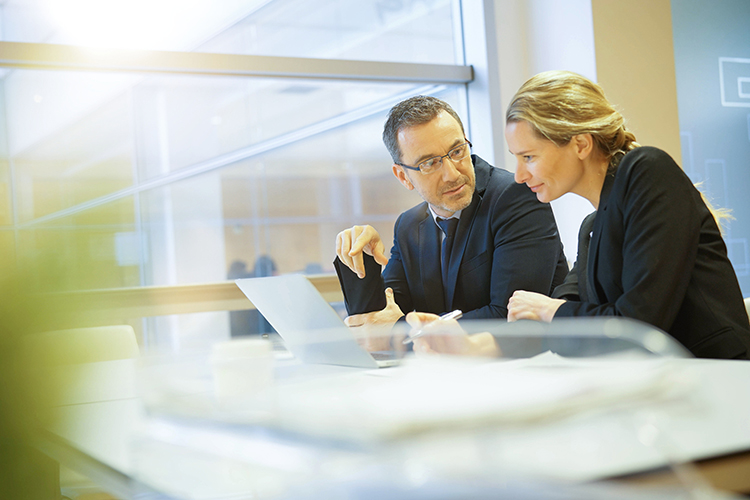 Cepheo Evergreen managed services for Dynamics 365 solutions